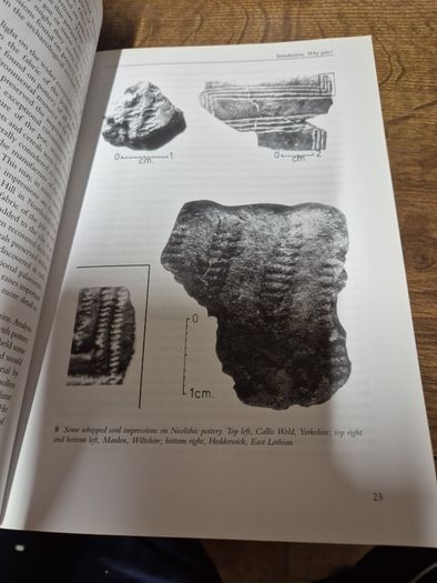 Prehistoric Pottery in Britain & Ireland