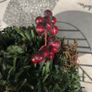 Vintage Christmas Decorations Image 5