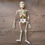 Hanging Halloween skeleton Image 2