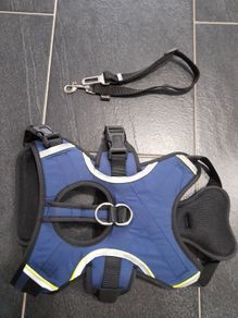 Dog Harness and clip on seat belt