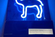 Camel Neon sign Year 2005 American
