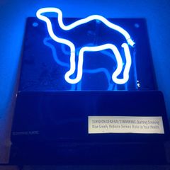 Camel Neon sign Year 2005 American
