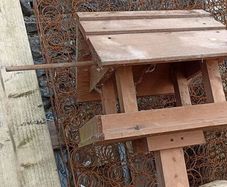 Bird House/Box on a Pole