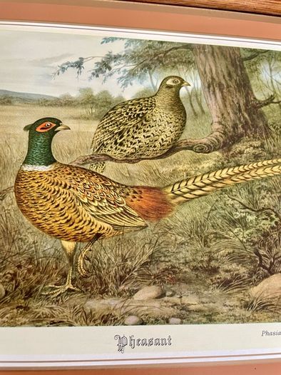 Six Traditional 20th Century Placemats by Pimpernel Gamebirds