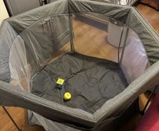Folding Playpen