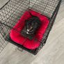 dog crate,&bed for sale Image 6