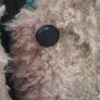 Teddy Jacket Xs Fits Uk8 Image 3