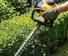 Hedgetrimmers