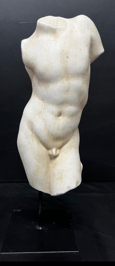Sculpture  torso greco marble dust and scagliola