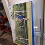 football goals 8 x 4 ft Image 4