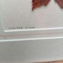 Framed Leaves Image 3