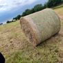 Round bales of hay Image 3