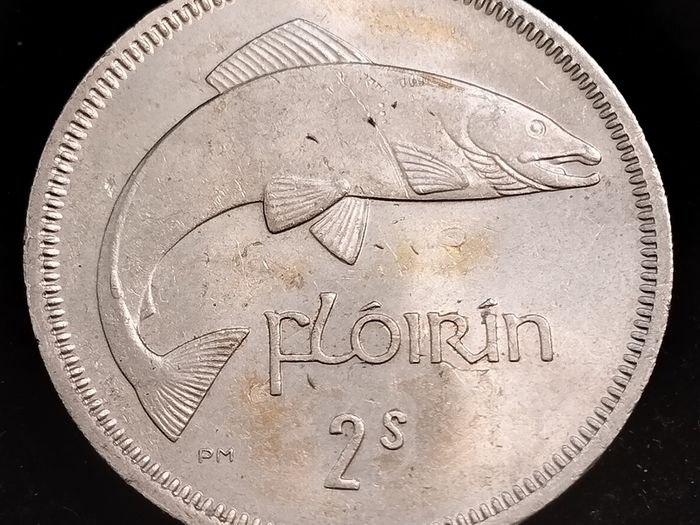 Ireland - 1961 - Florin - AU - KM.15a - [293]