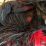 wigs Image 5
