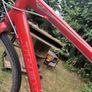 bike Image 6