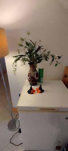 vases
