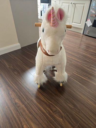 Ponycycle unicorn