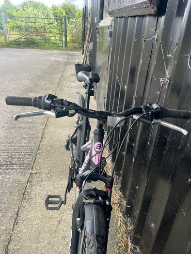 Mountain bike