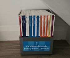 1999 primary school curriculum