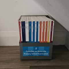 1999 primary school curriculum