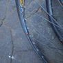 Campagnolo road wheelset for parts Image 2