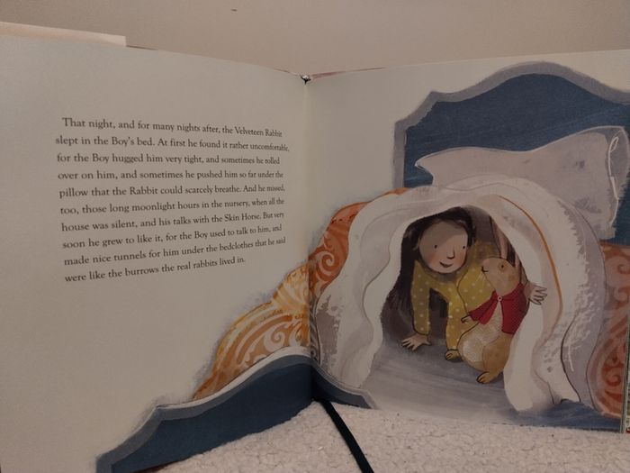 The Velveteen Rabbit, classic, hardback book