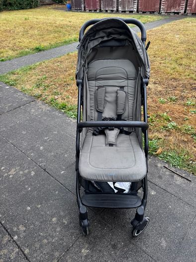 Travel buggy