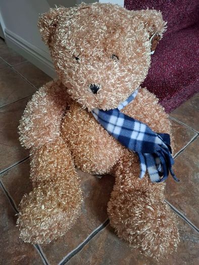 Beautifully Soft Teddy Bear