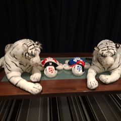 Soft Toy Animals