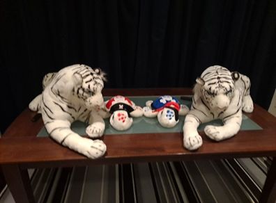 Soft Toy Animals