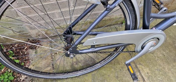 lady's bike