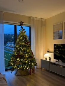 christmas tree