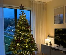 christmas tree