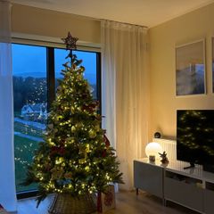 christmas tree