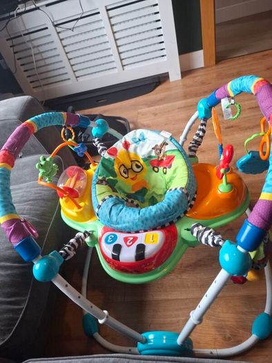 Baby Einstein Neighbourhood Friends Activity Jumper