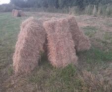 Square bales