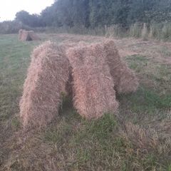Square bales