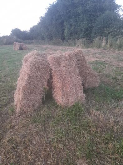 Square bales