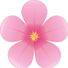 pinkflower324