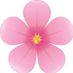 pinkflower324
