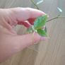 Hoya Coriacea Silver Image 3