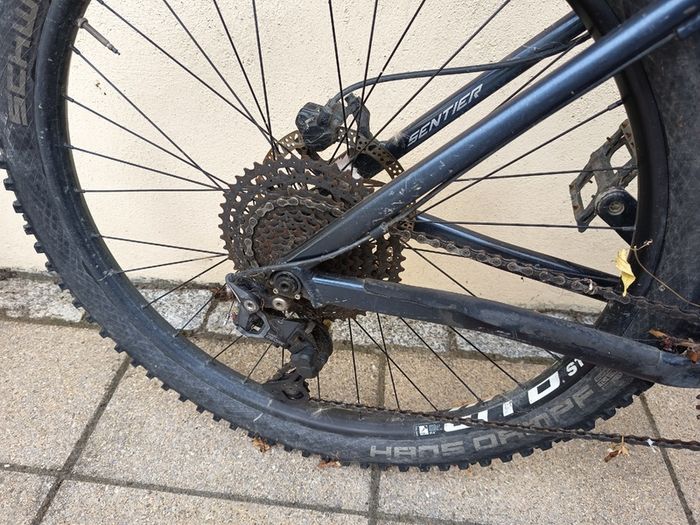 Hard Tail VITUS Ridemore Mountain Bike