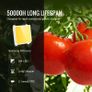 LED Grow Light 50W Full Spectrum Dimmable, High Yield Samsung 2B1B Diodes Growing Lamp for Indoor Plants Seedling Veg and Bloom Greenhouse Growing Image 2