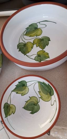 Stunning New Portugese Hand Painted Ivy Pottery Oven to Table Ware 5 Pieces