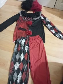 Clown Costume with Wig