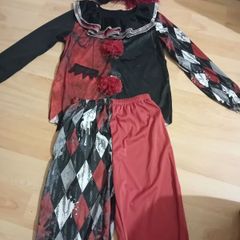 Clown Costume with Wig
