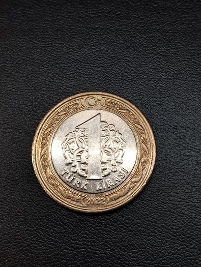 Turkey 1 Turk Lirasi coin