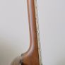Recording Nite Hawk Tenor Banjo Image 9