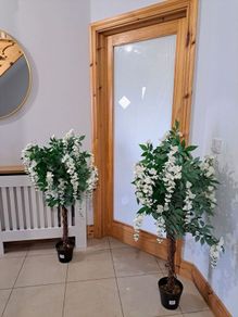 2 Wisteria trees decor