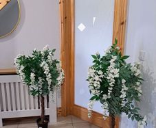 2 Wisteria trees decor